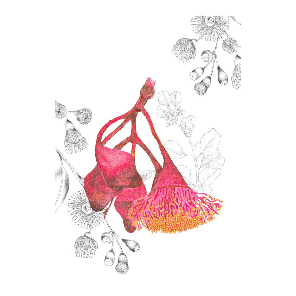 Ethereal Petal Veil