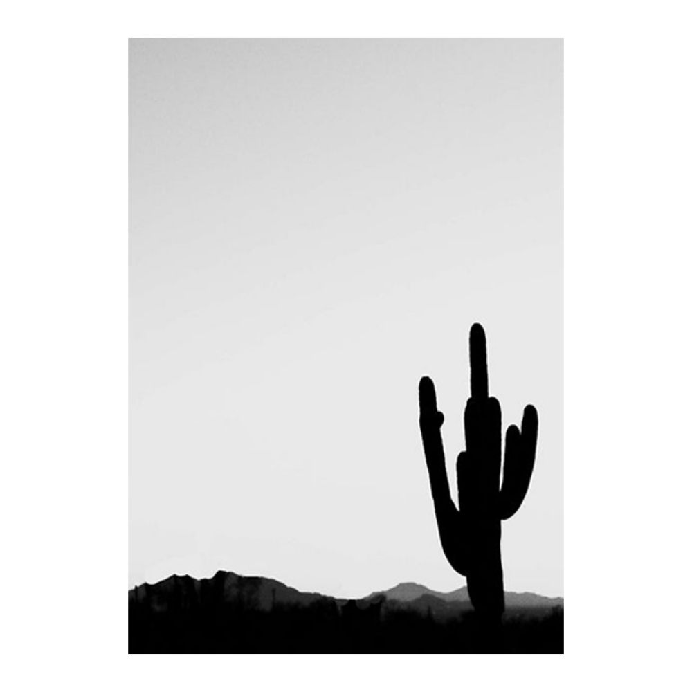 Cacti Silhouette