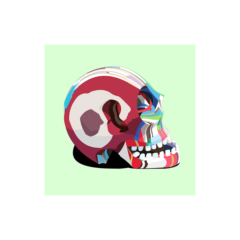 FLIP FLOP SKULL