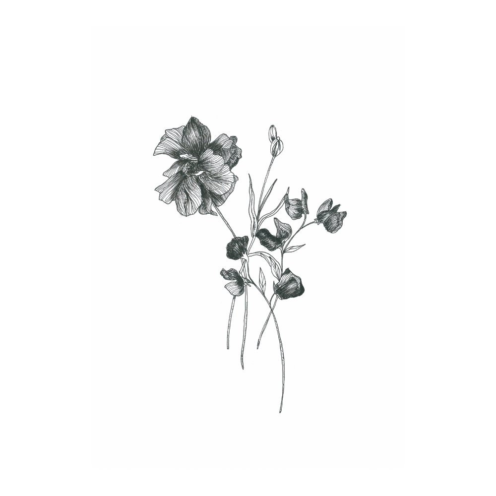Floral Sketch II