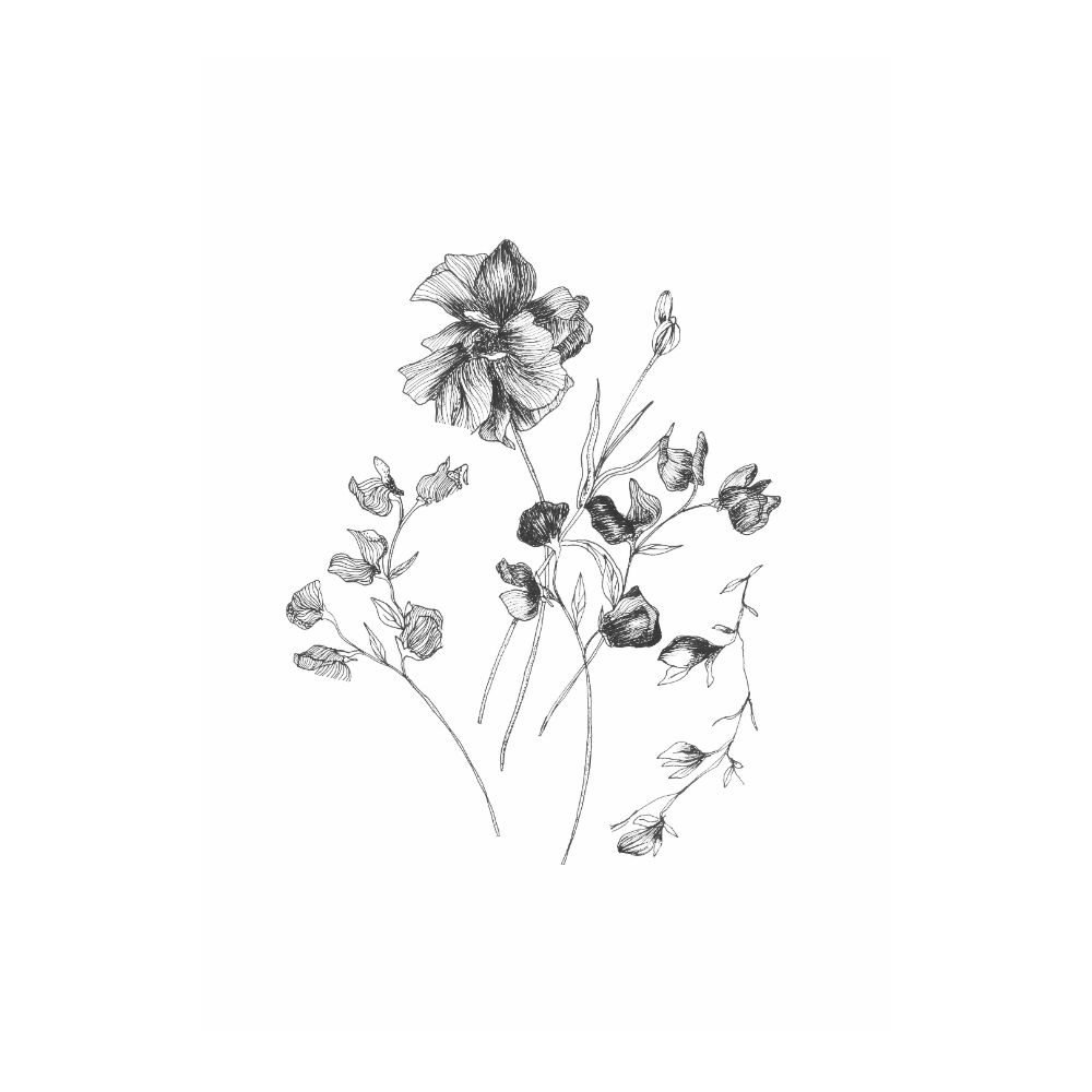 Floral Sketch I