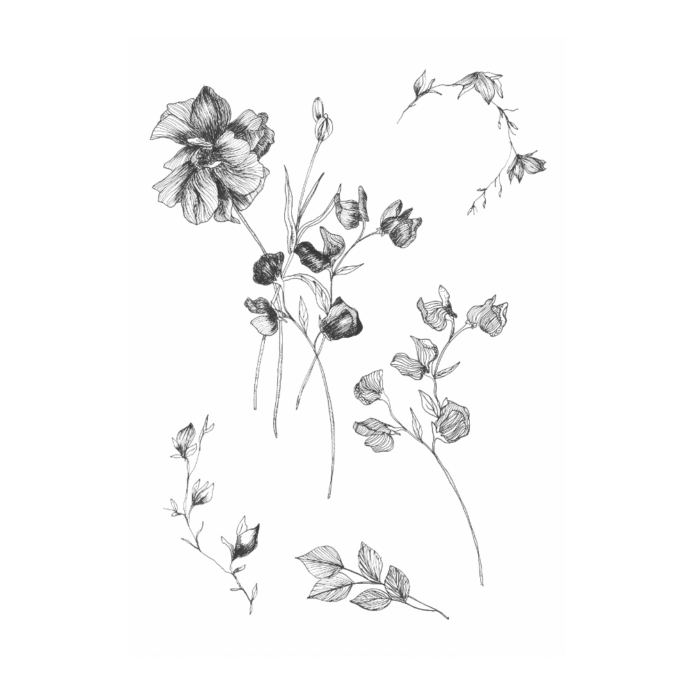 Floral Sketch III
