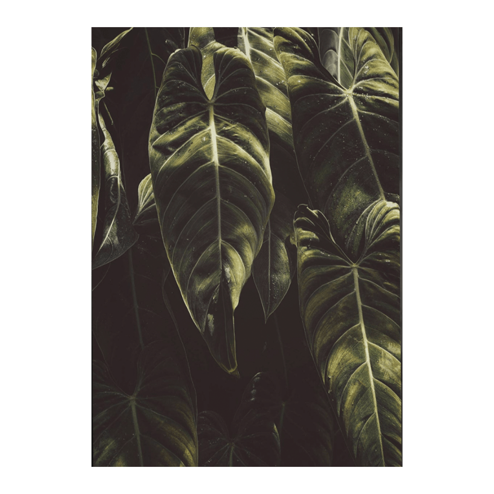 Dark Tropical Leaf I