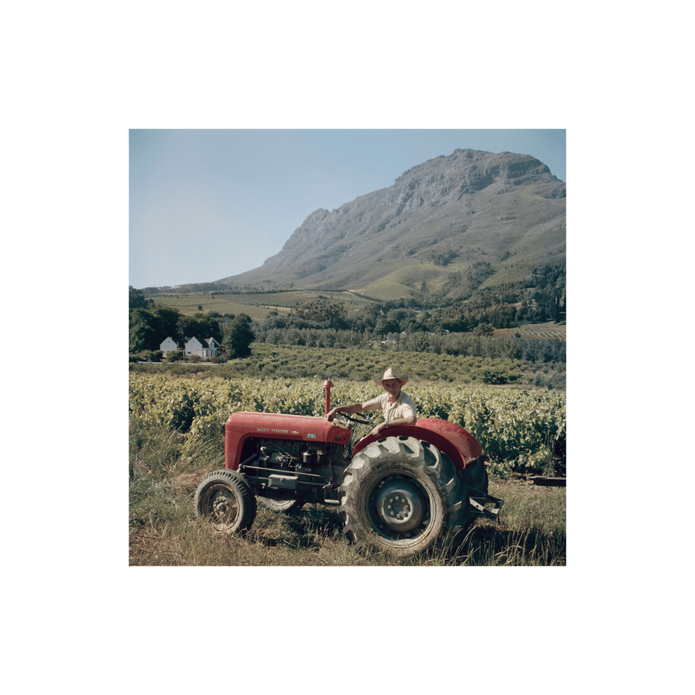 Farmer, South Africa