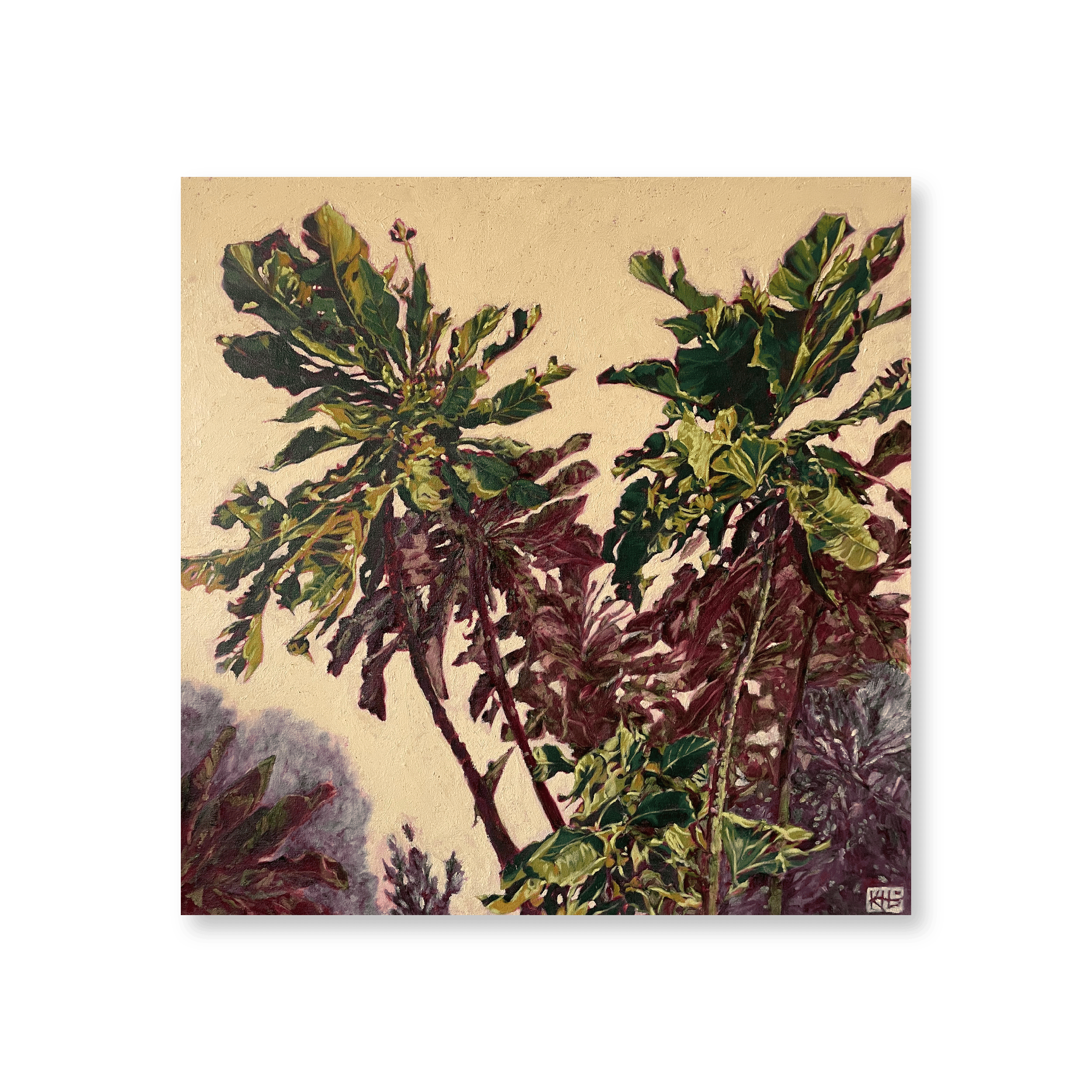 Fever Forest | Original