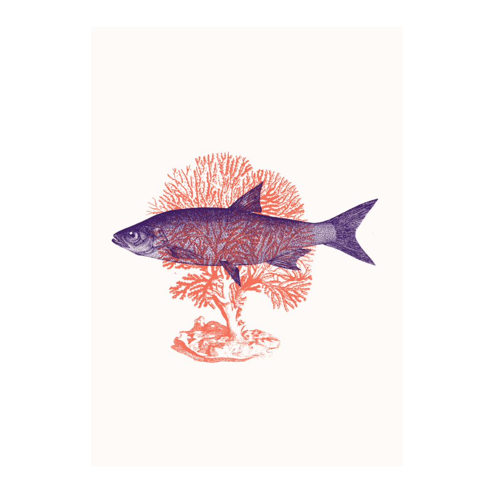 Fish With Corals III