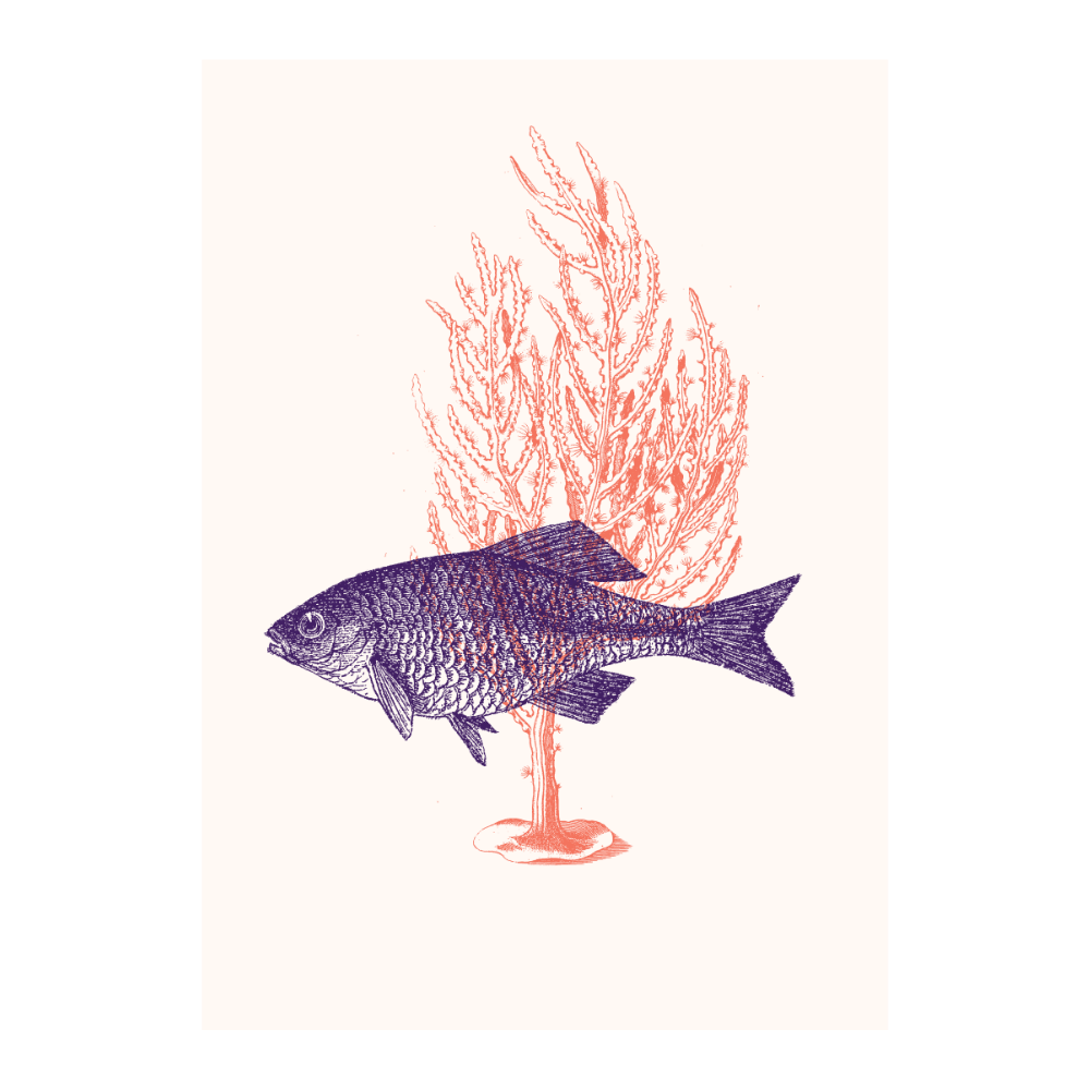 Fish With Corals II