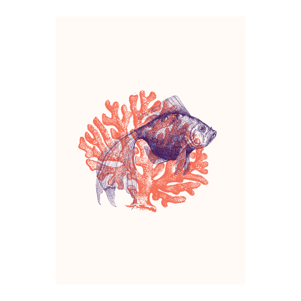 Fish With Corals IV