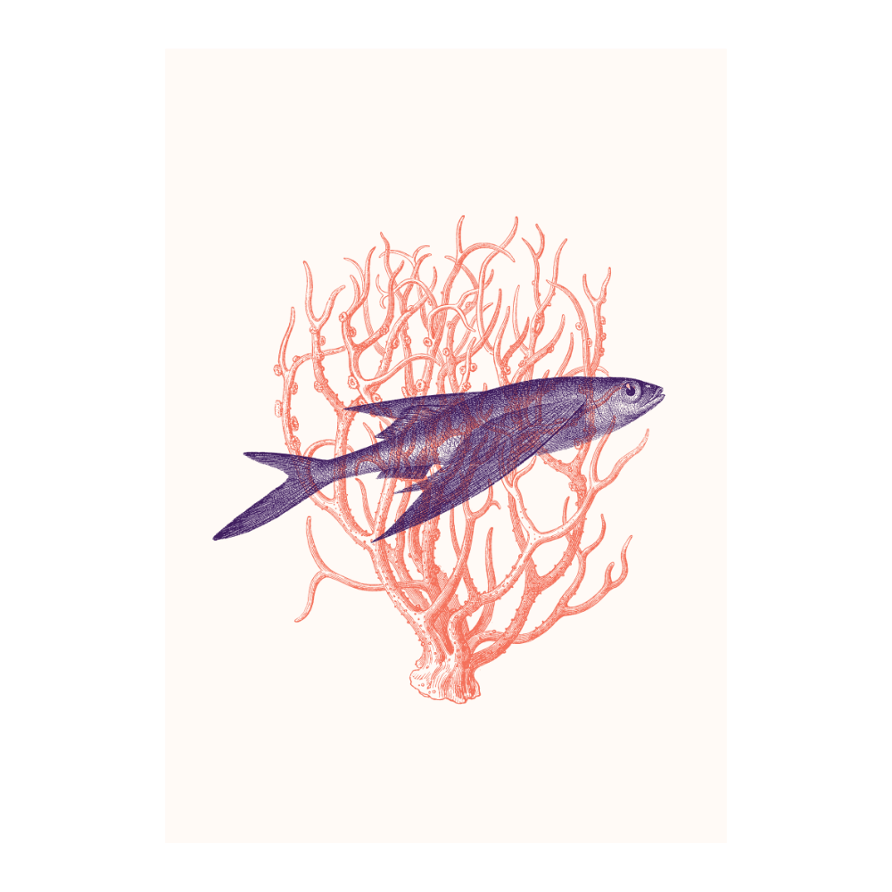 Fish With Corals VI