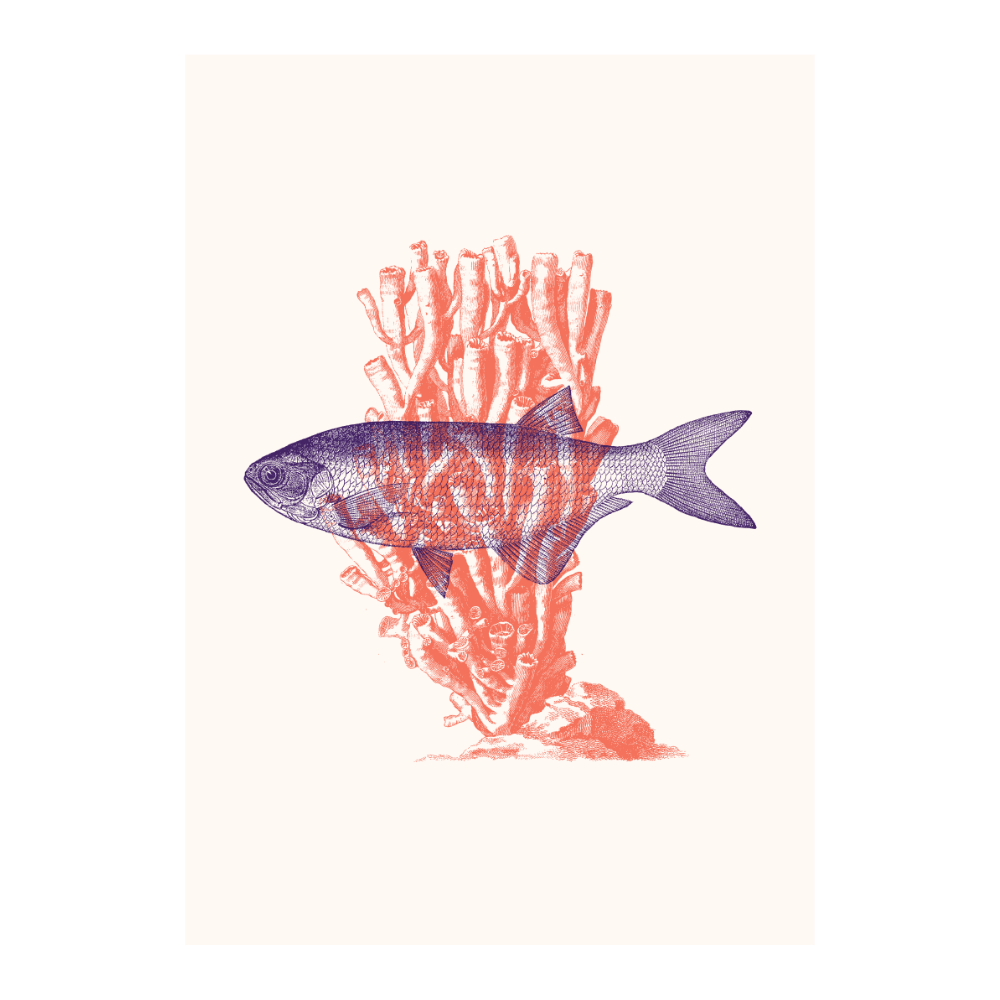 Fish With Corals V