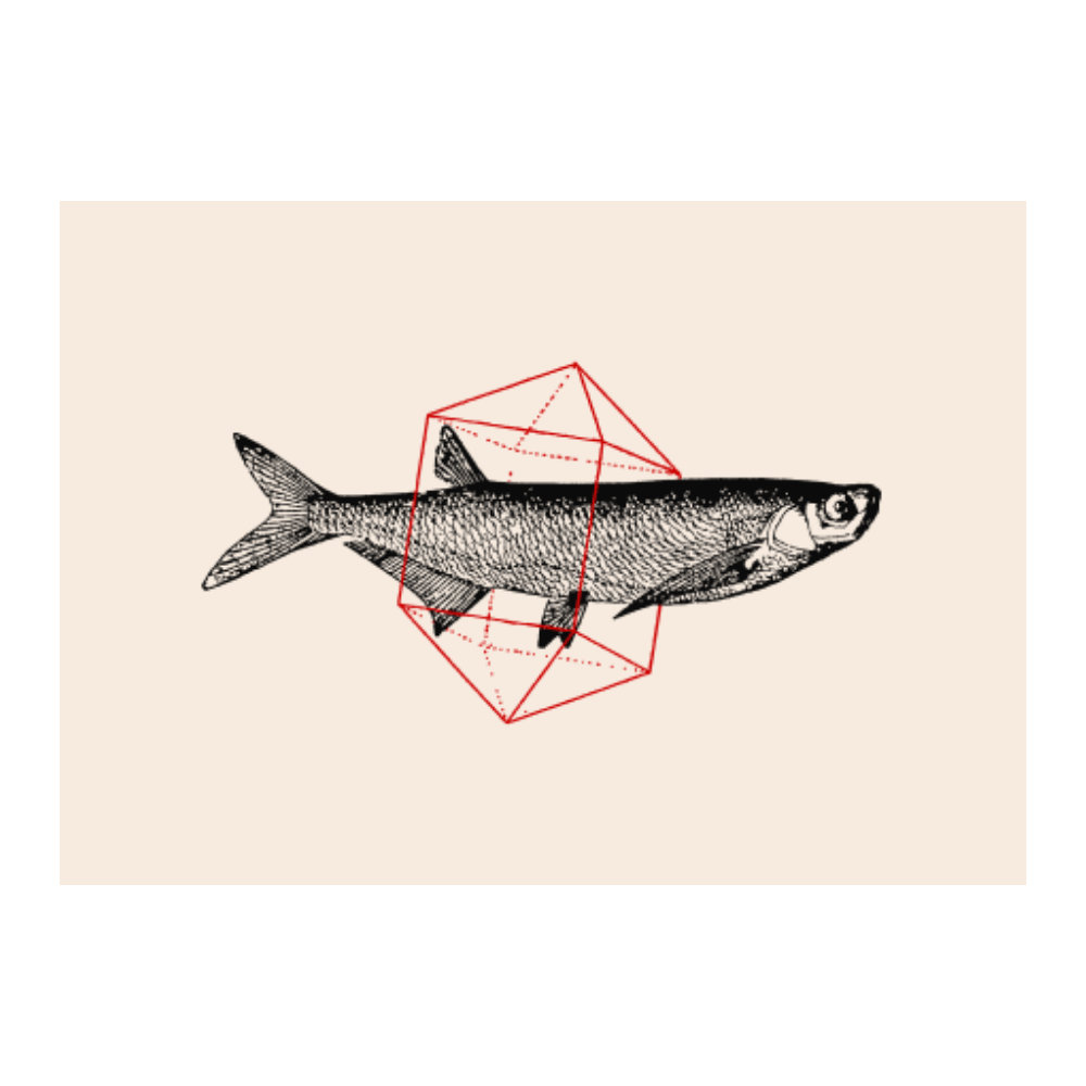 Fish in Geometrics II