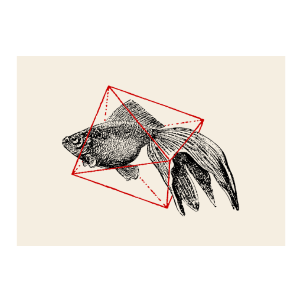 Fish in Geometrics I