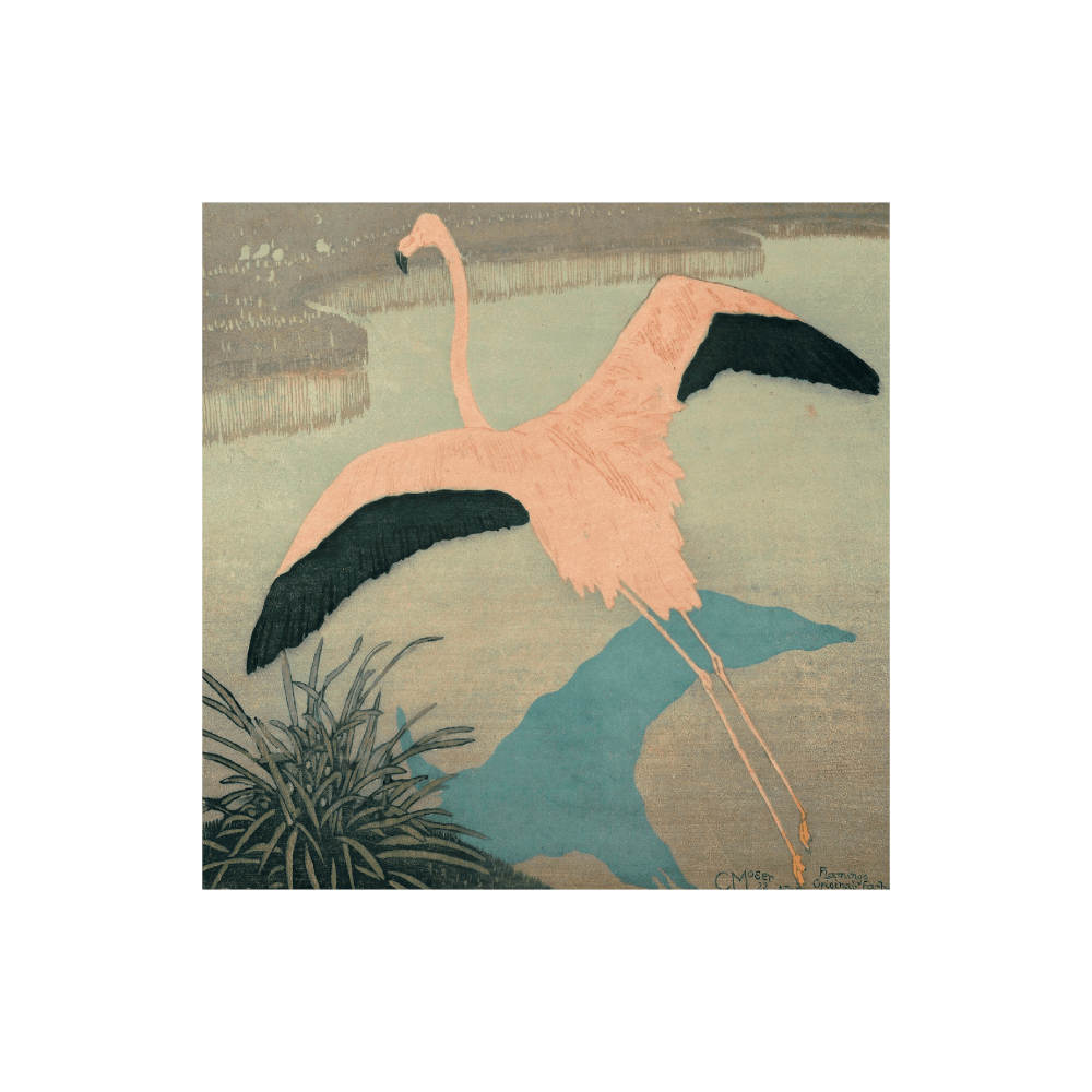 Flamingo (1922)