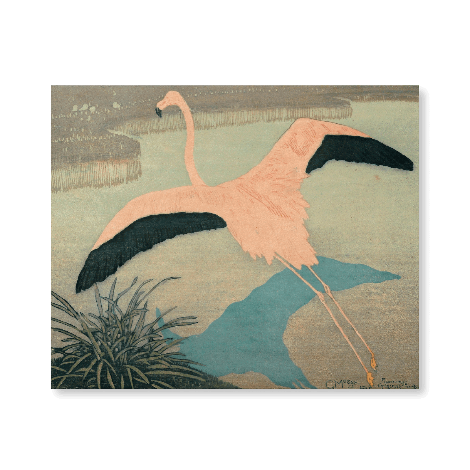‍Flamingo (1922) (100% off)
