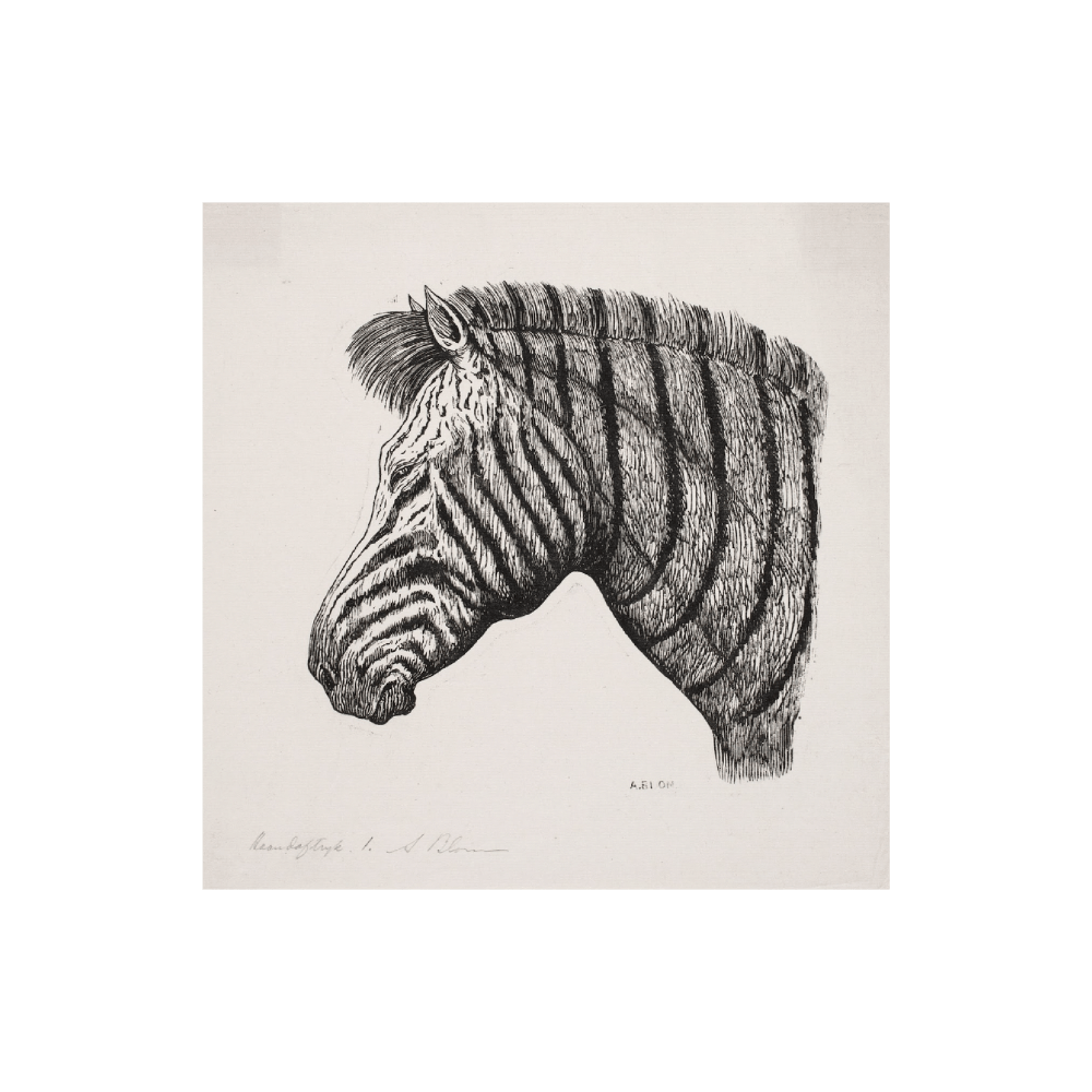 Hoved Af En Zebra