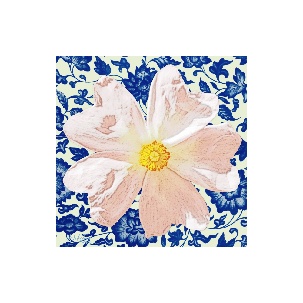 Flower Study II