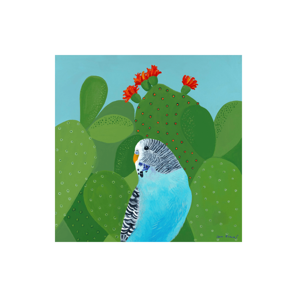 Flowering Budgie