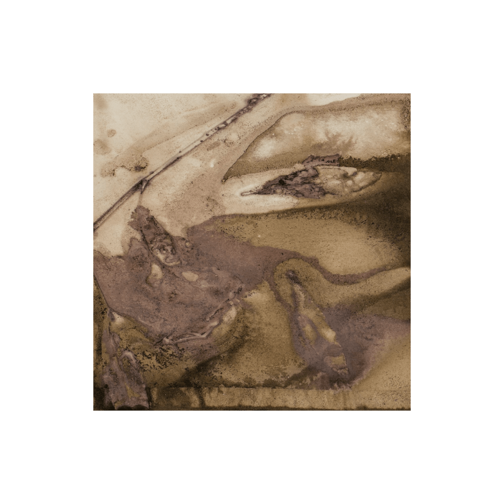 Forest Murmur II