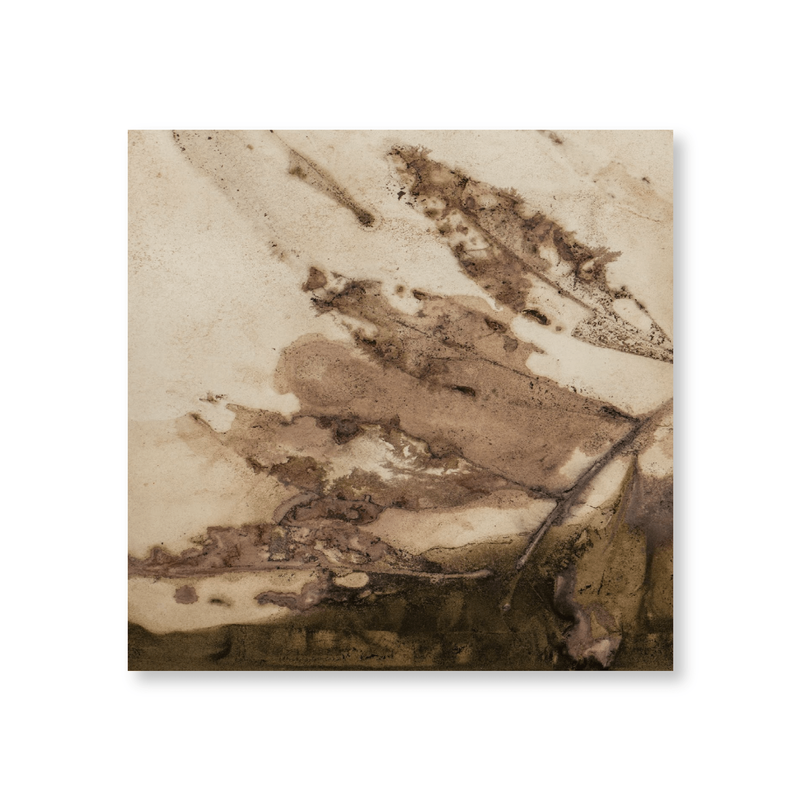 Forest Murmur I - Jasper & Jute