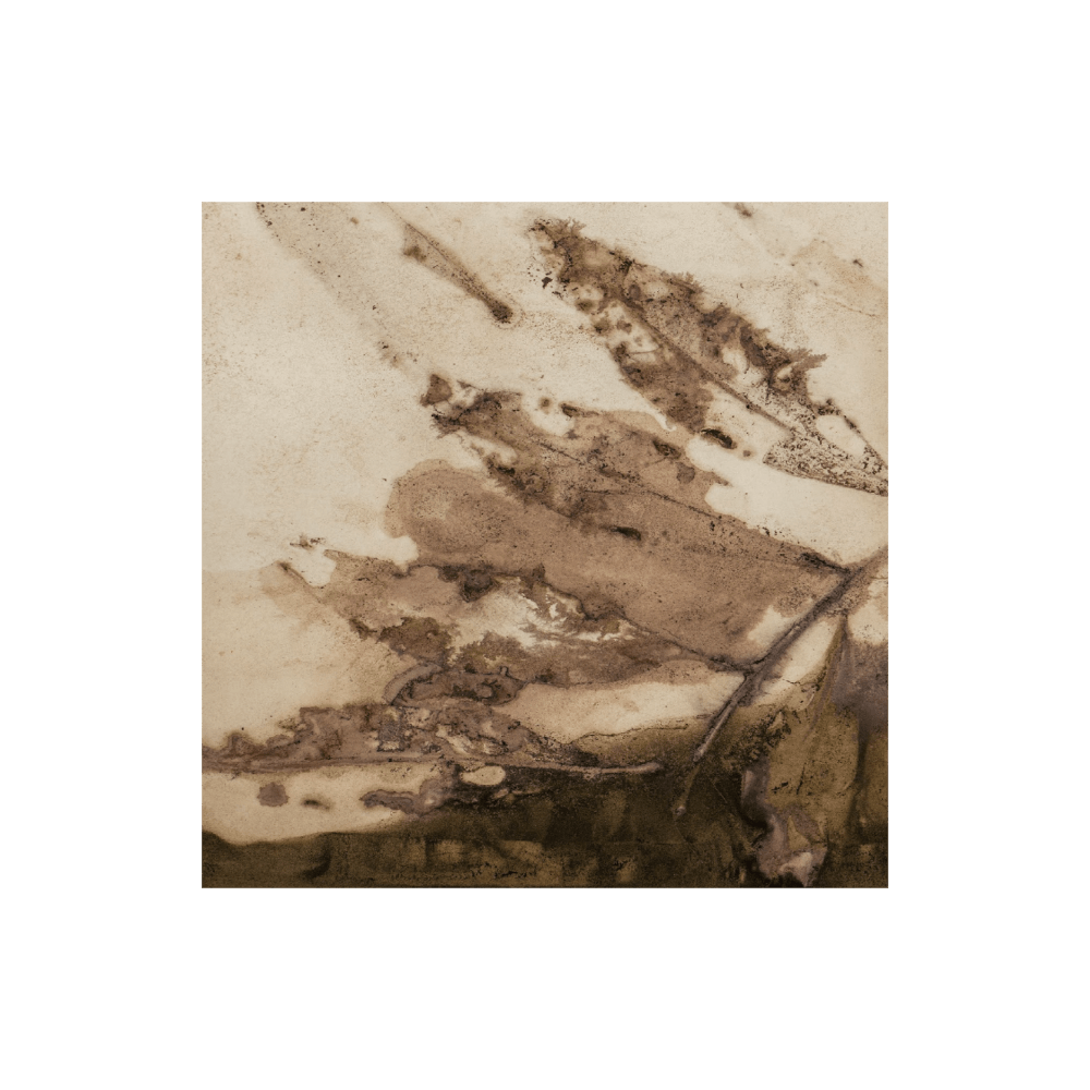 Forest Murmur I