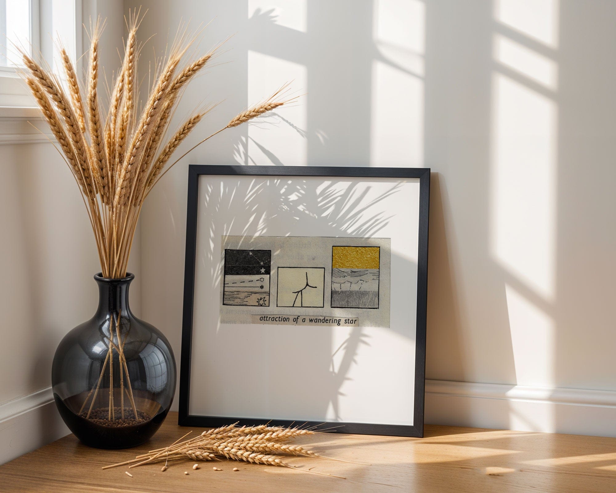 Attraction Of A Wandering Star