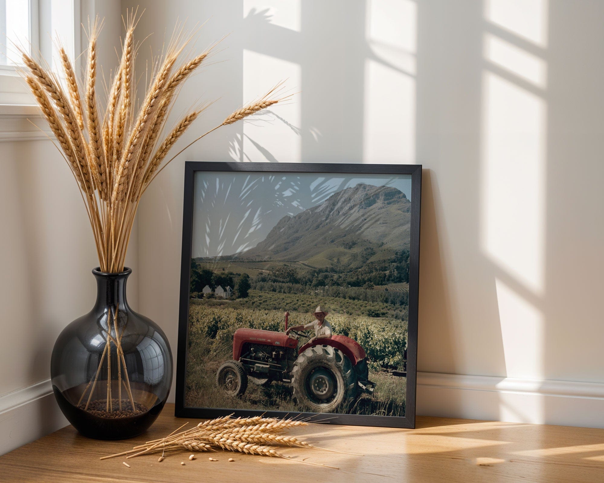 Farmer, South Africa