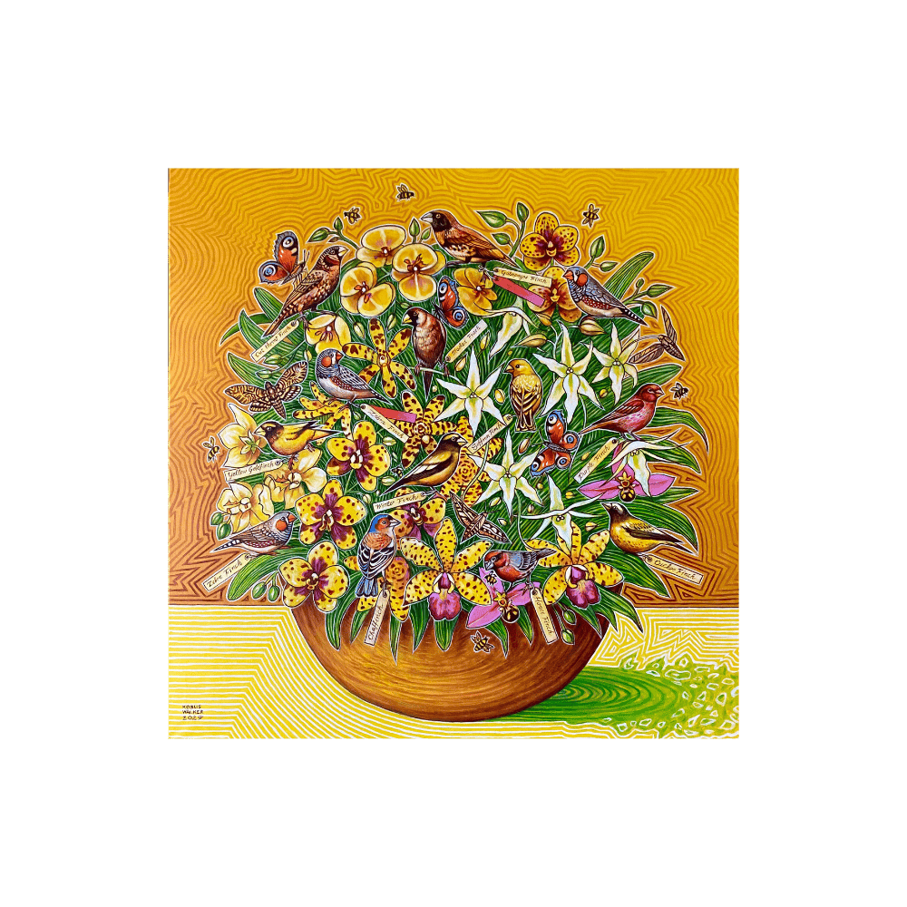 From Orchids To Darwin's Finches