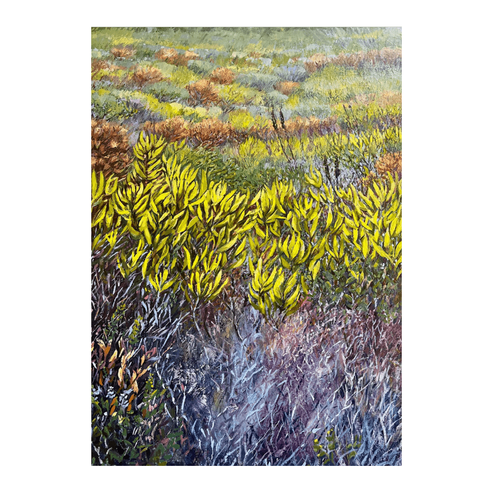 Fynbos