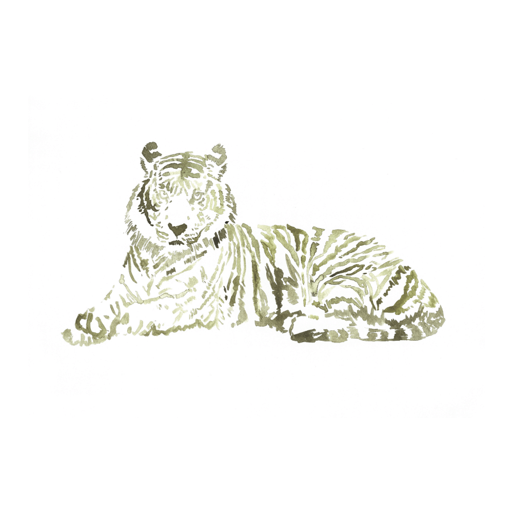 Grace Tiger Forest