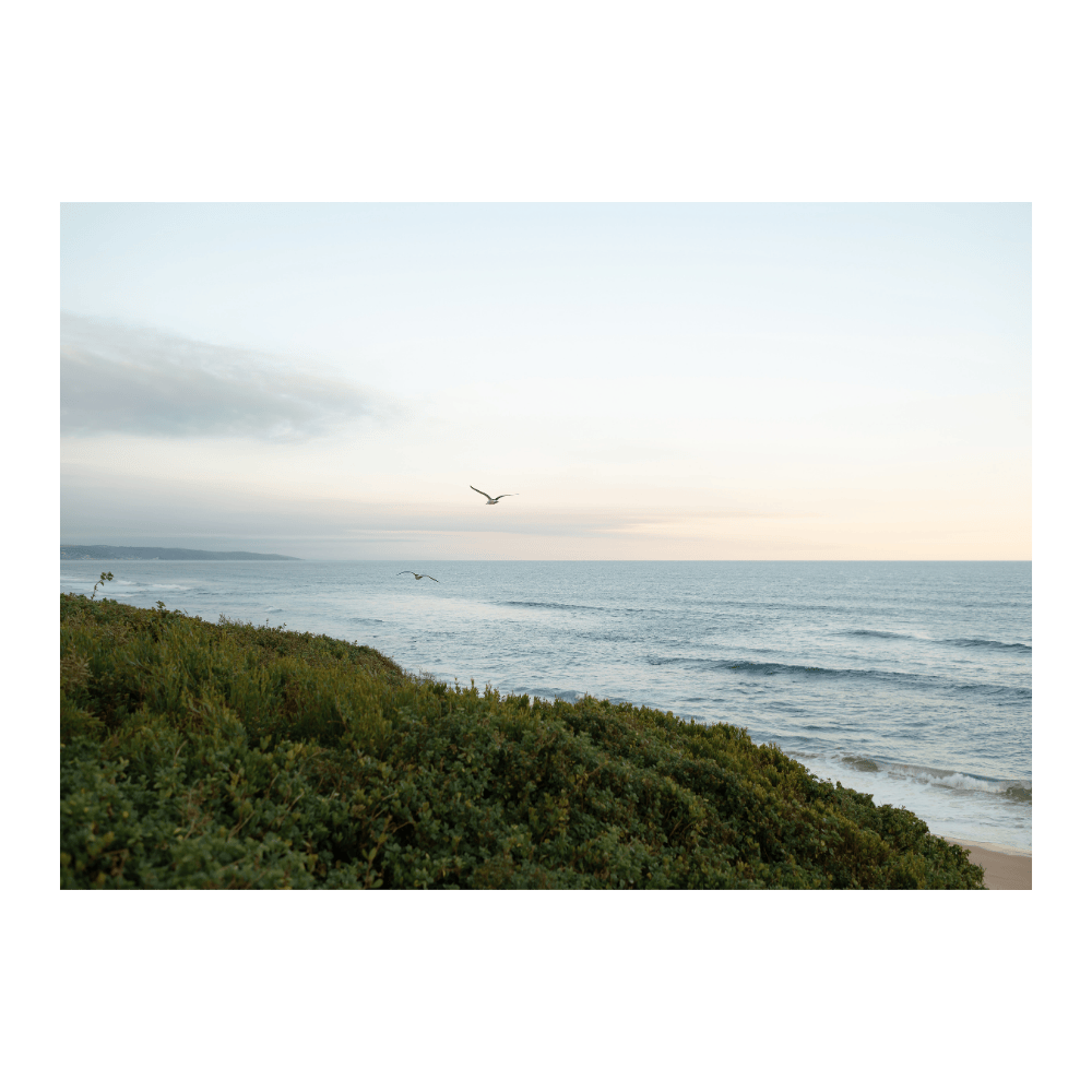 Garden Route III