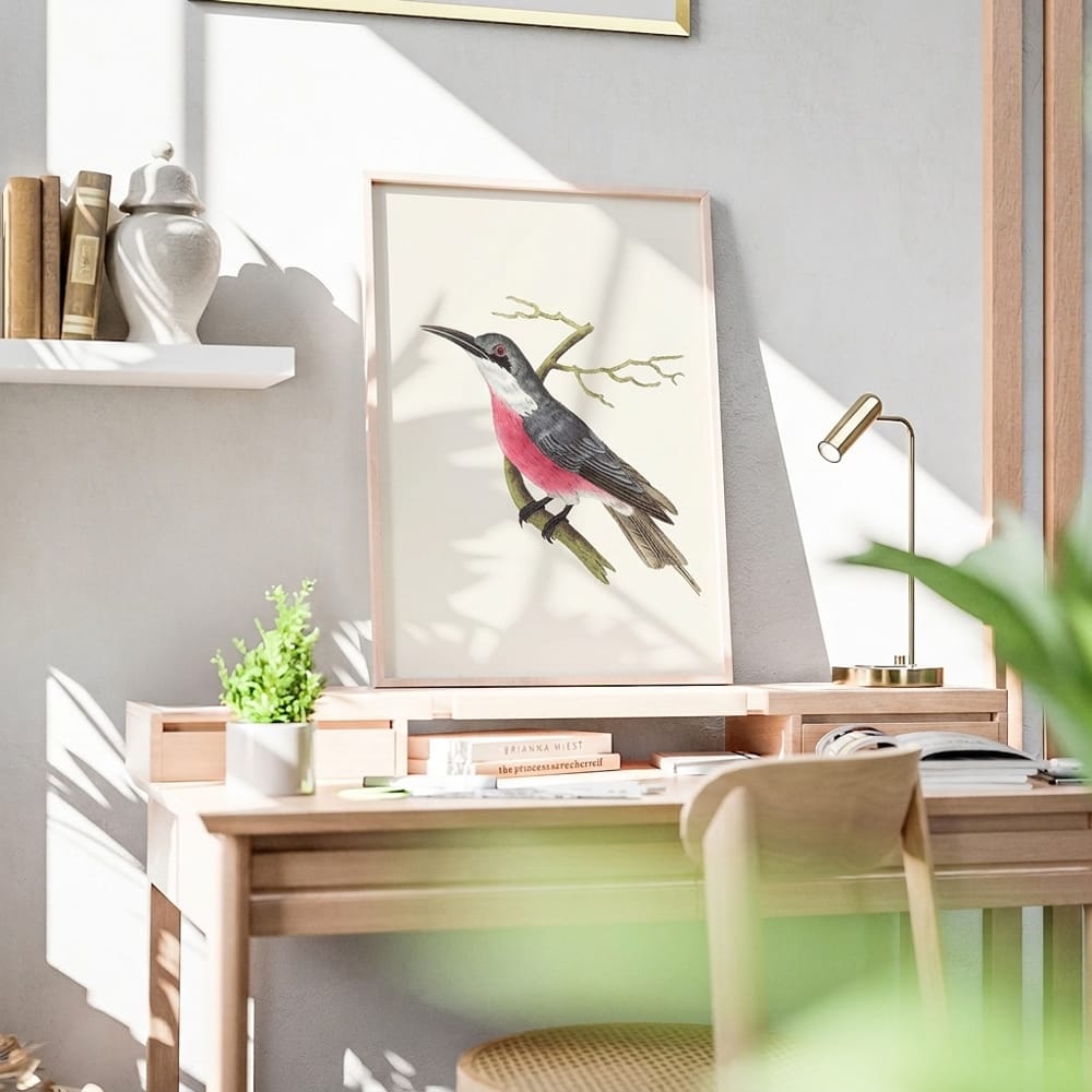 Malimbic Bee-Eater