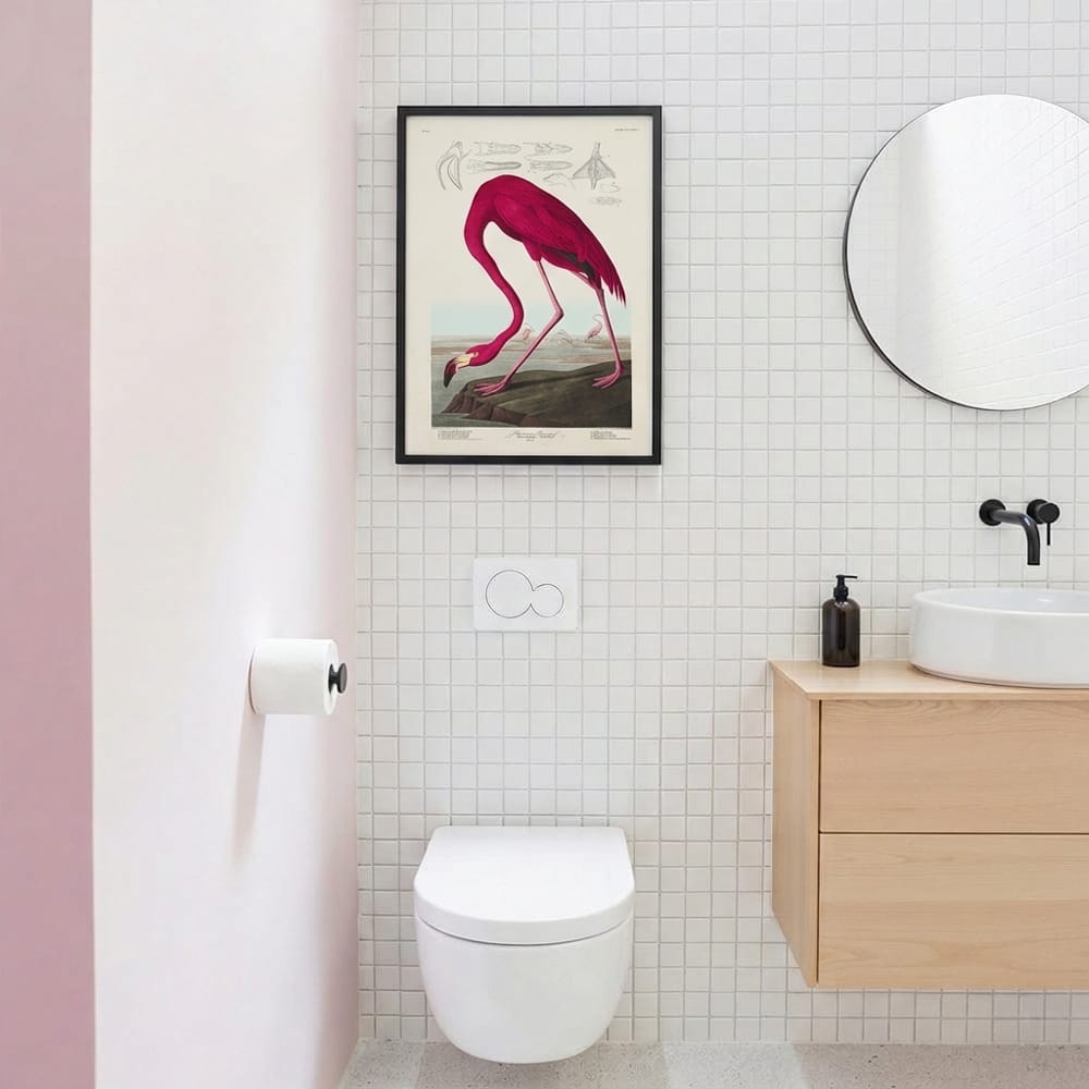 Audubon Pink Flamingo