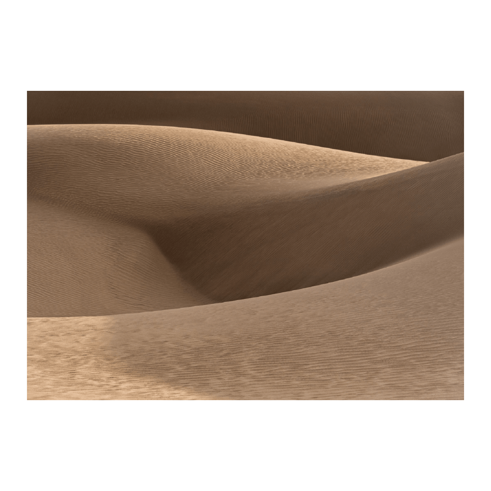 Golden Sand Dune