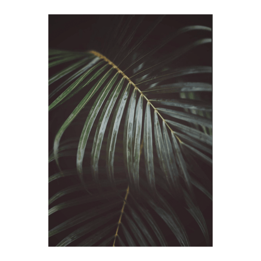 Dark Tropical Leaf III