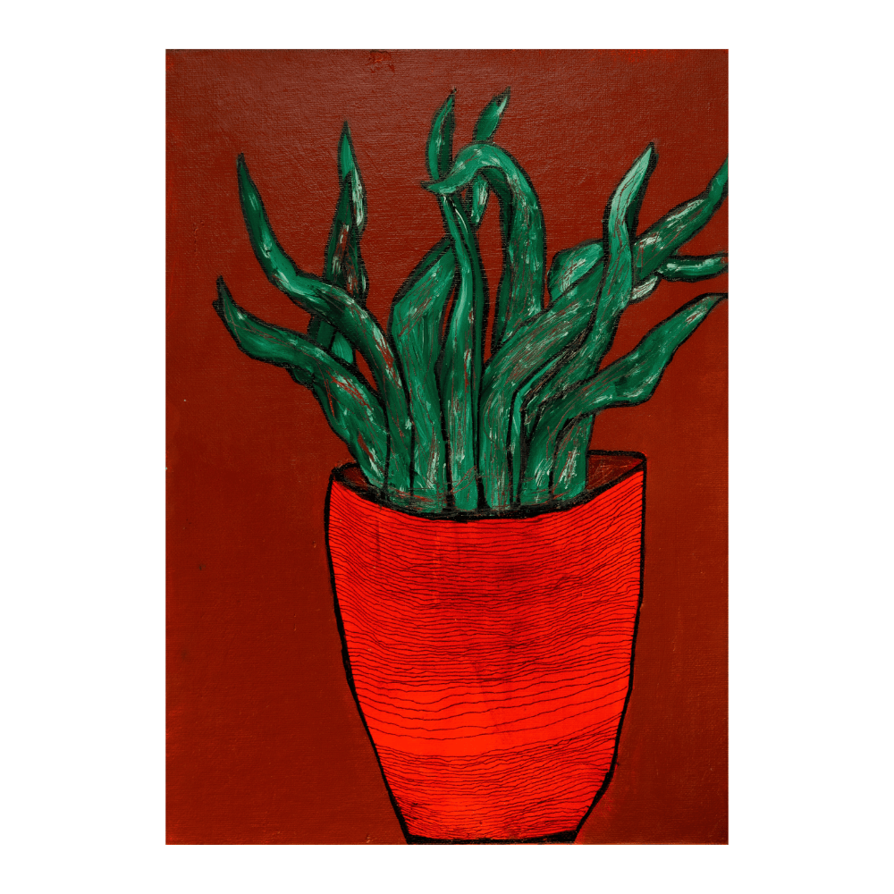Green Plant In Red Pot