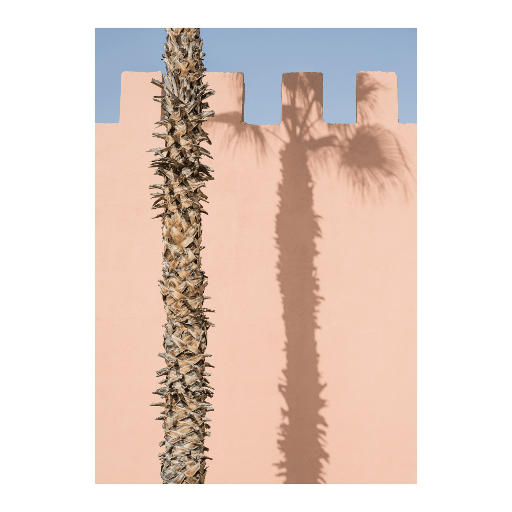 Green Plant - Pink Wall I