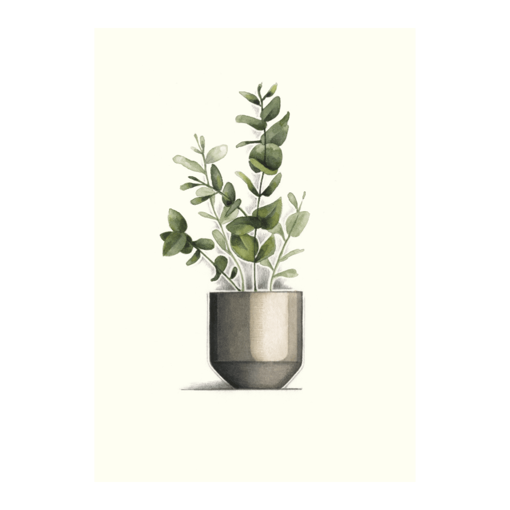 Grey Greens