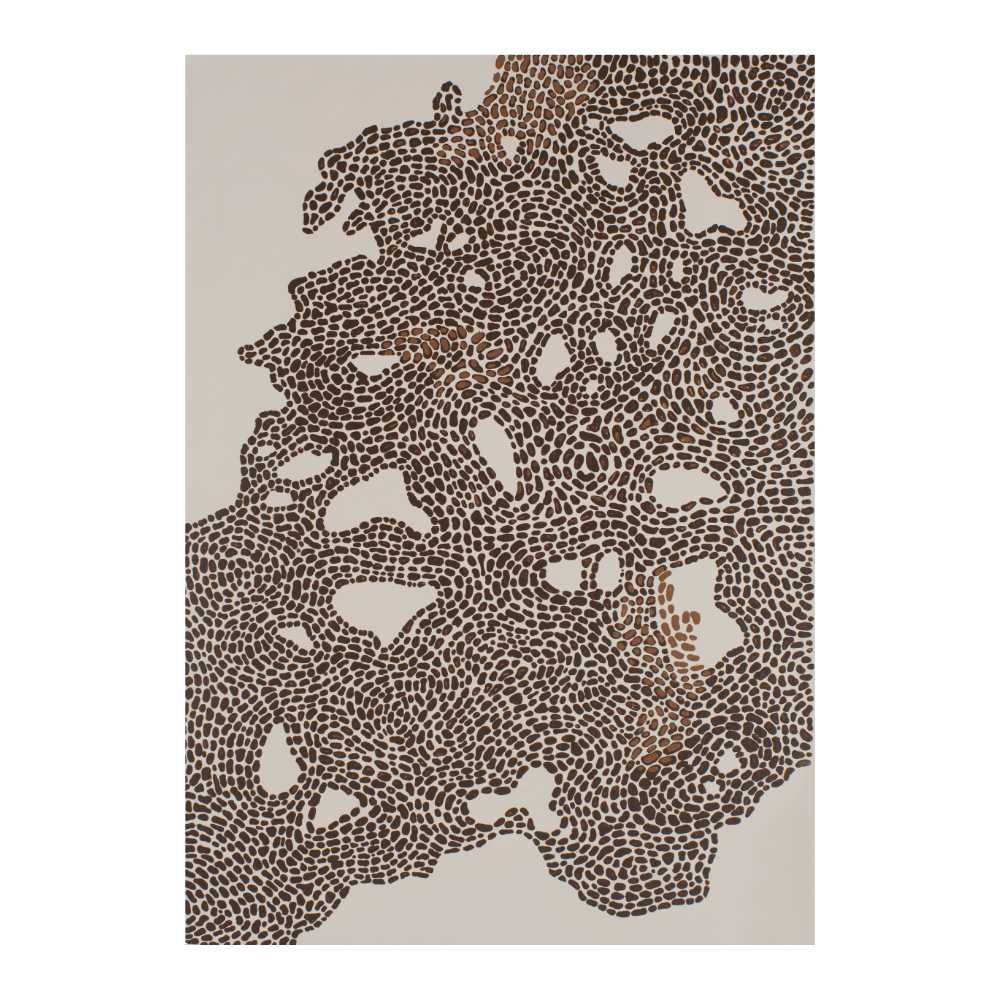 Ground Survey III