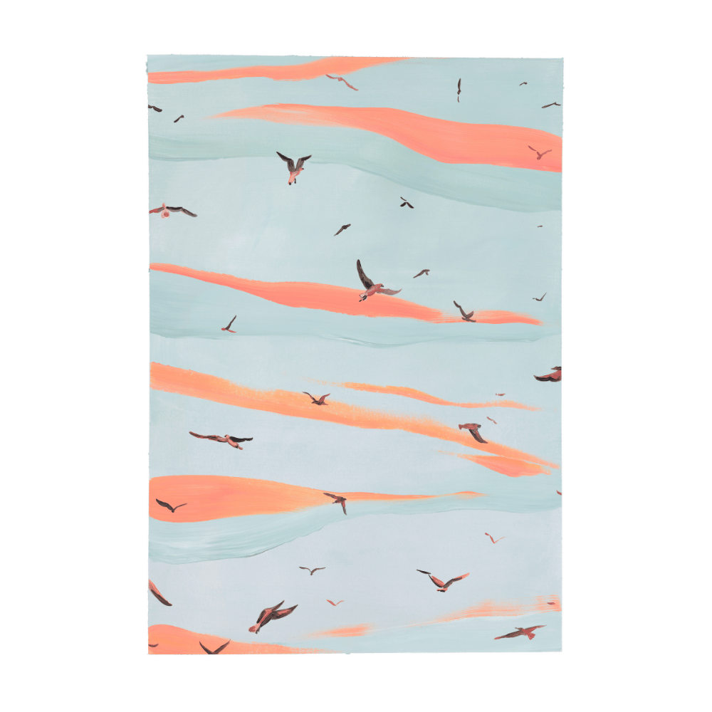 ‍Seagulls In Flight (100% off)