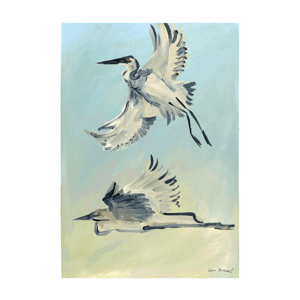 II Storks