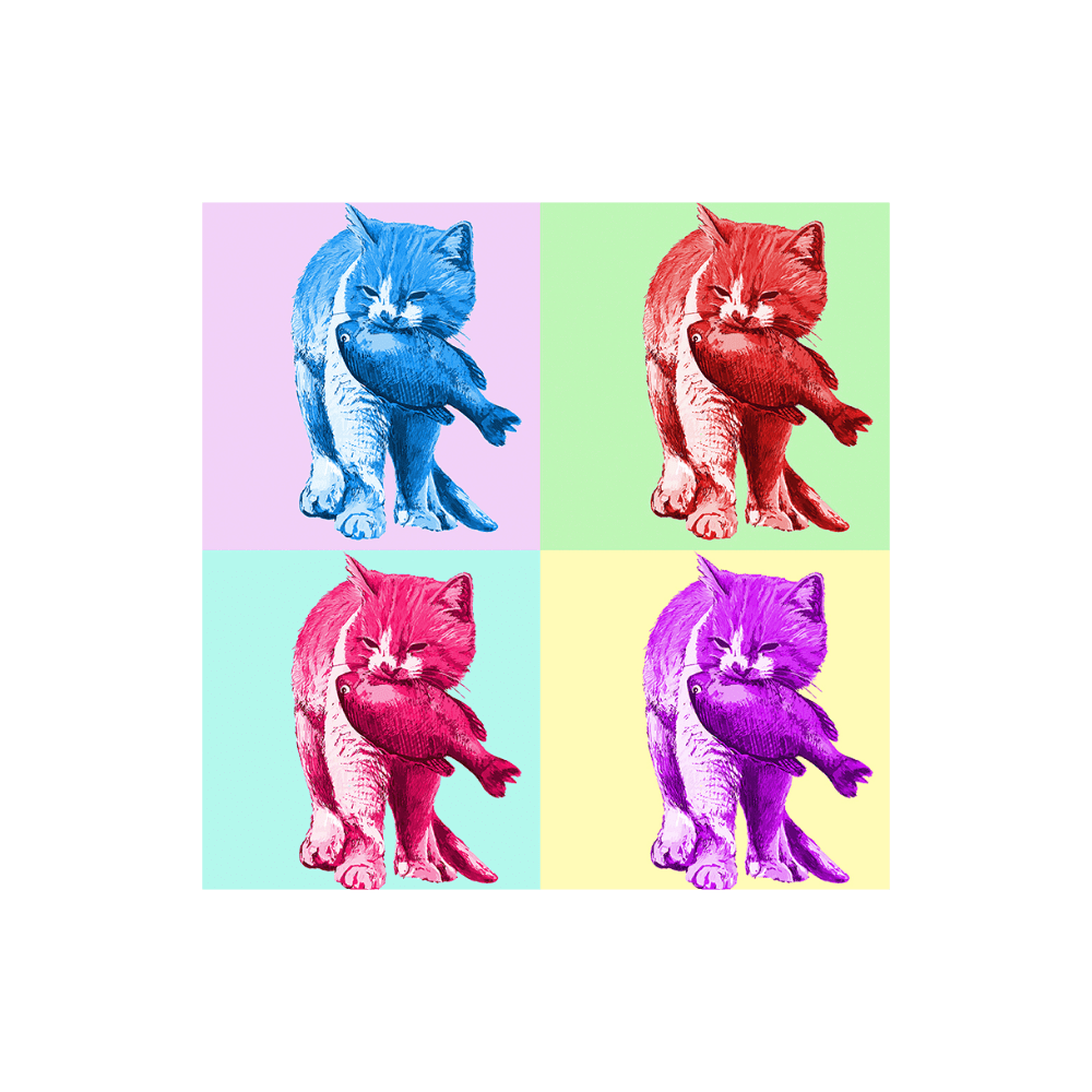 IV PASTEL CATS