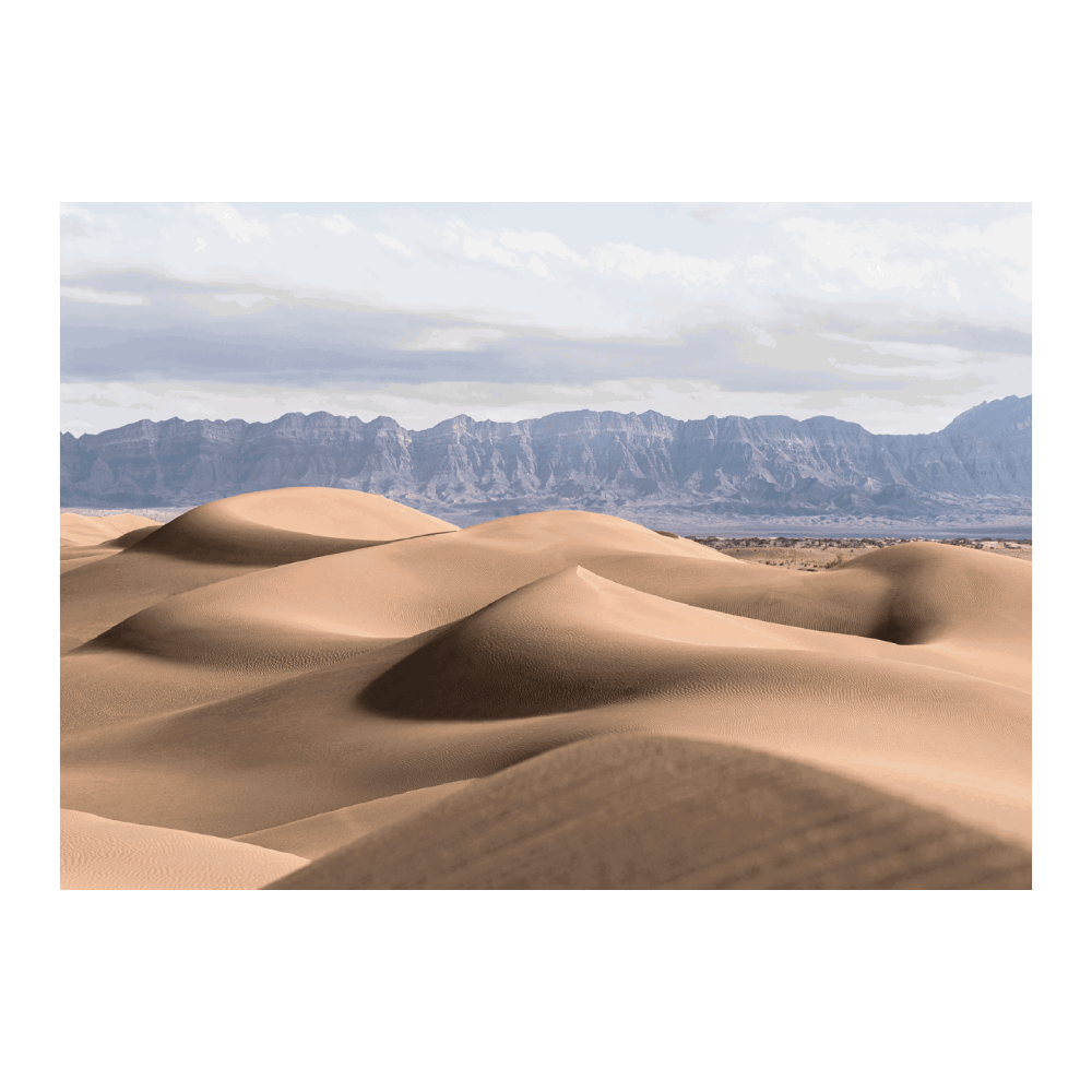In The Desert In The Middle East