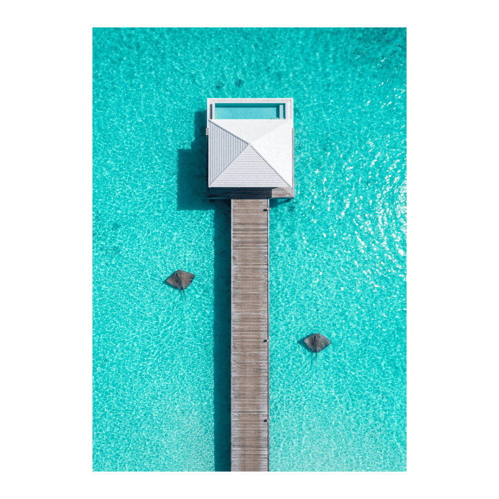 Infinity Pier & Rays
