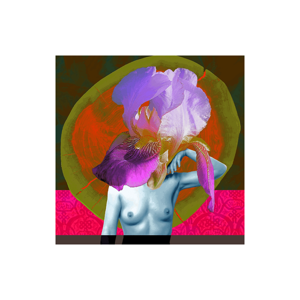 Iris
