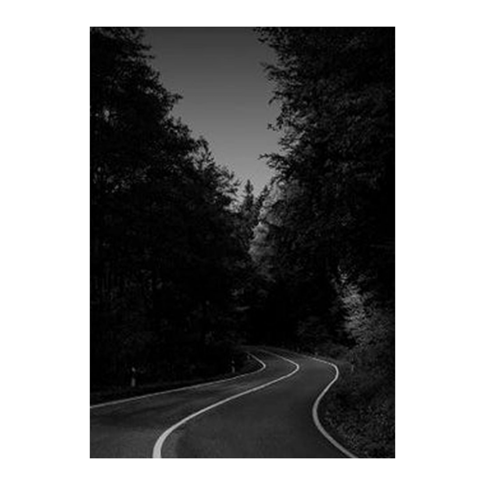 Forest Drive