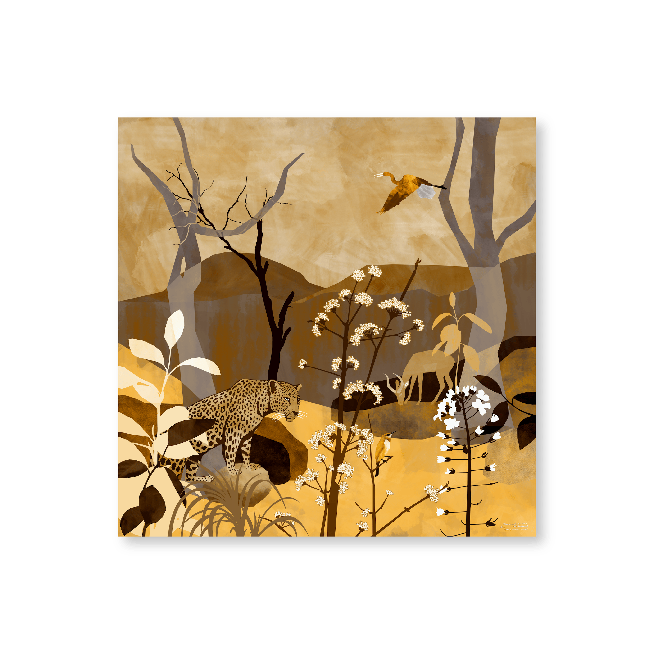 Savannah Gold II | Original