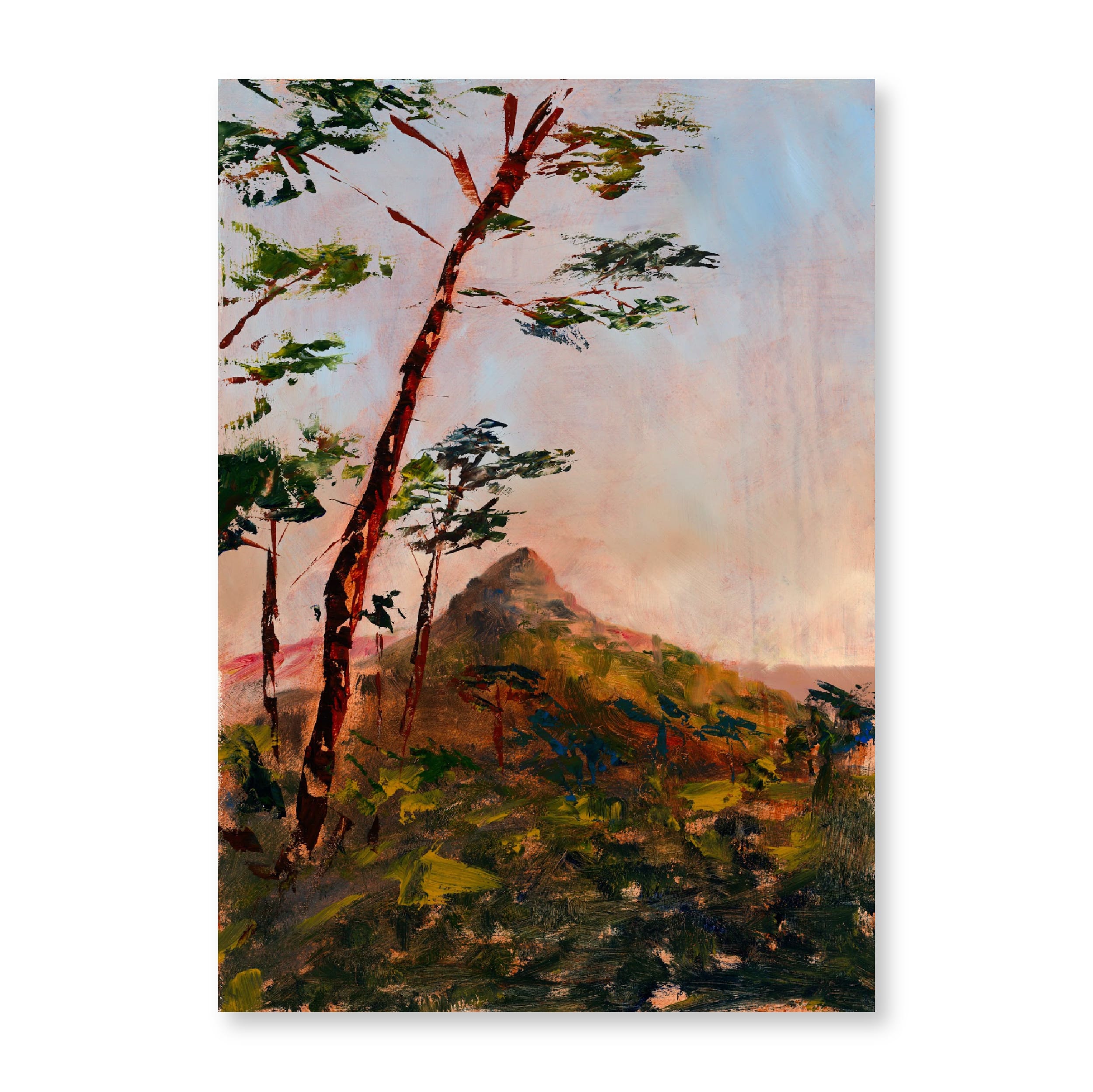 Evening Lion's Head | Original