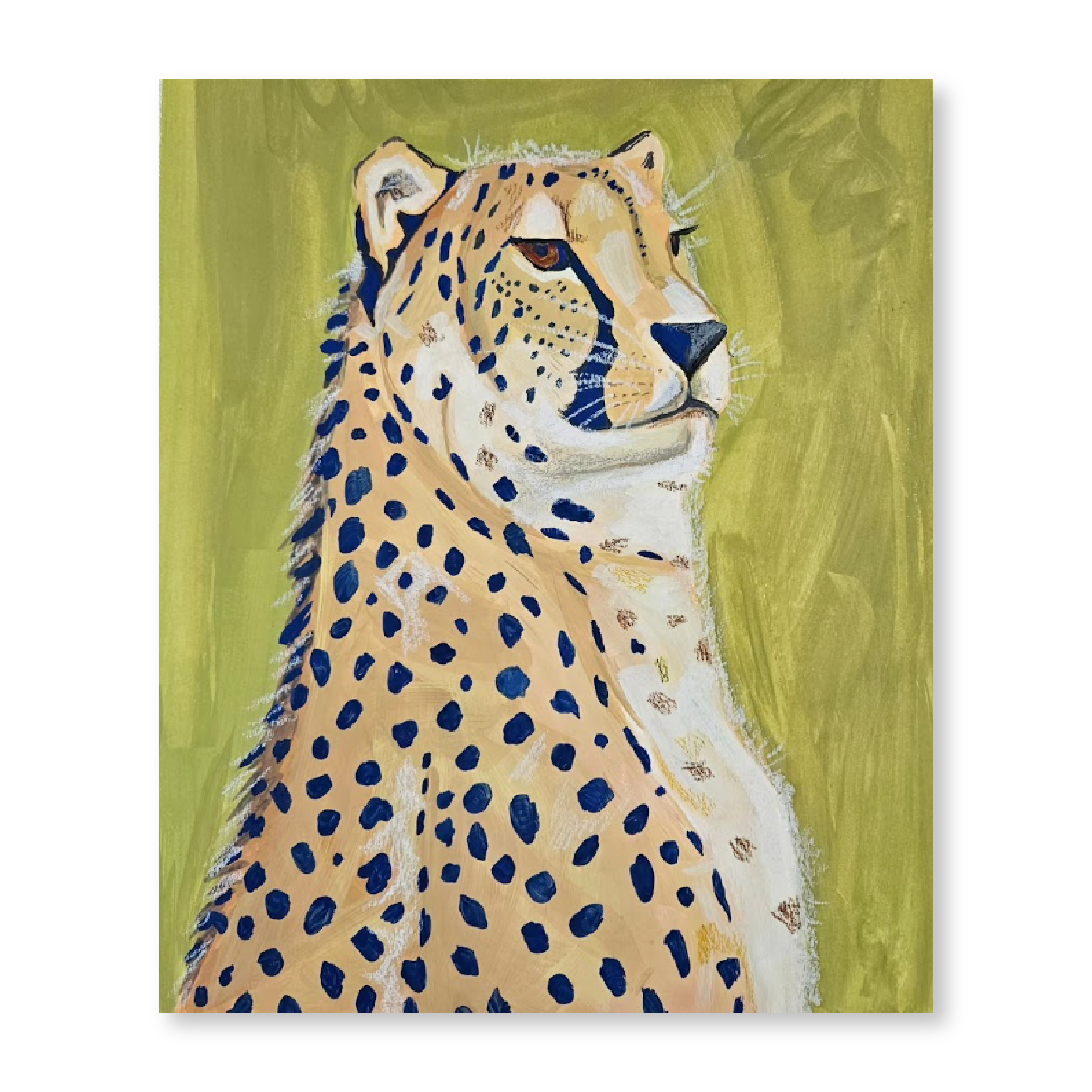 Cheetah | Original