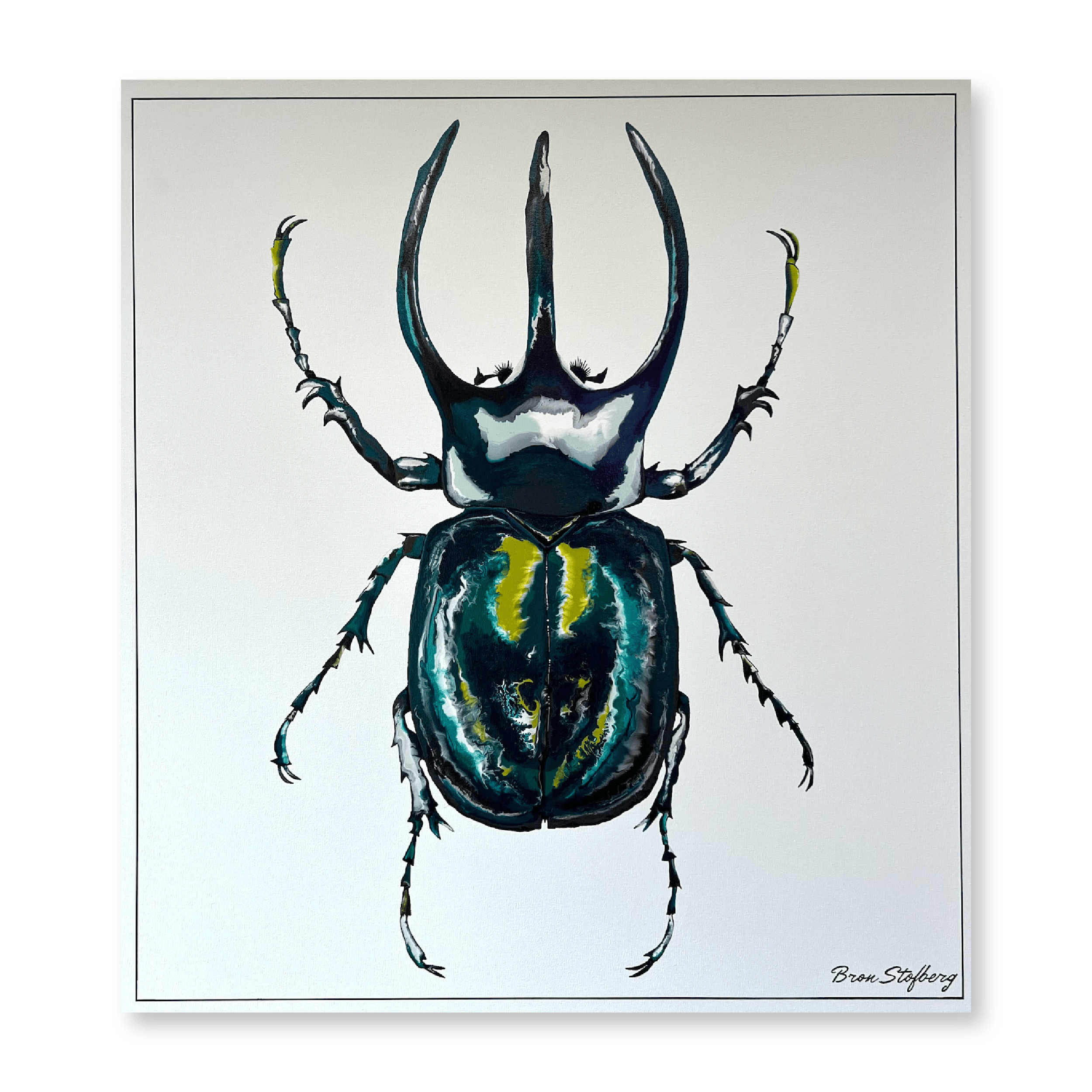 Atlas Beetle | Original