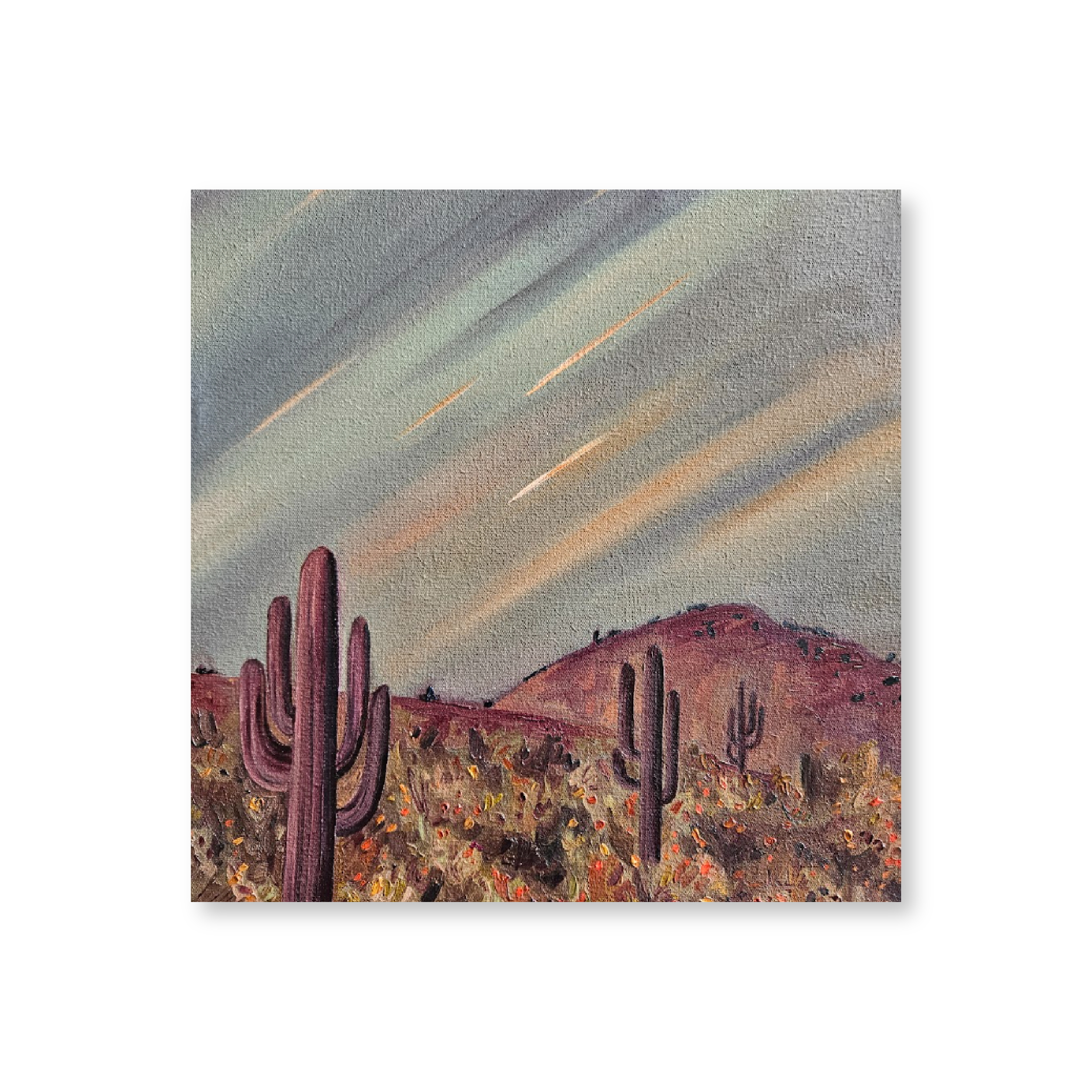 Desert Meteor Shower | Original